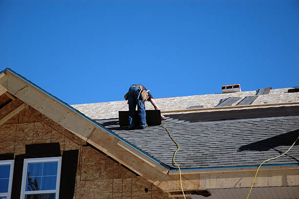 Best Roof Gutter Cleaning  in Wilder, ID