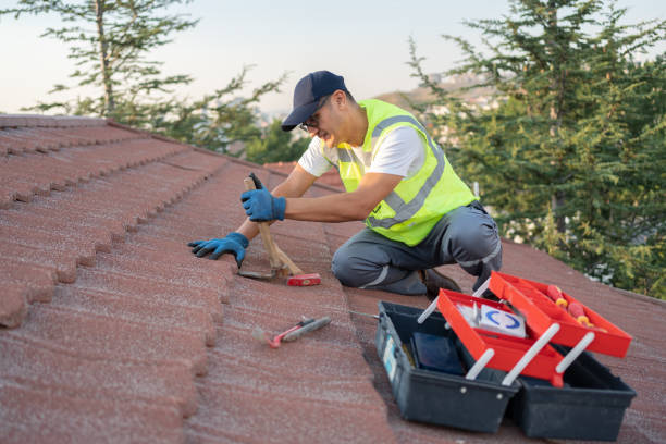 Best Slate Roofing Contractor  in Wilder, ID