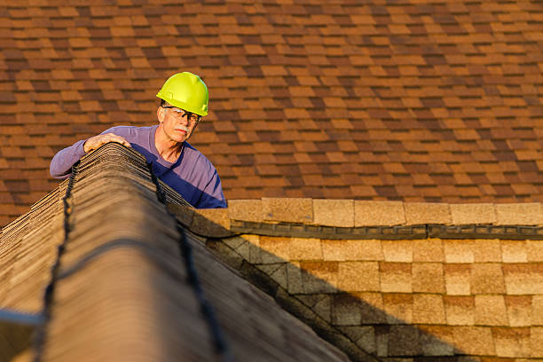 Best Roof Maintenance Services  in Wilder, ID
