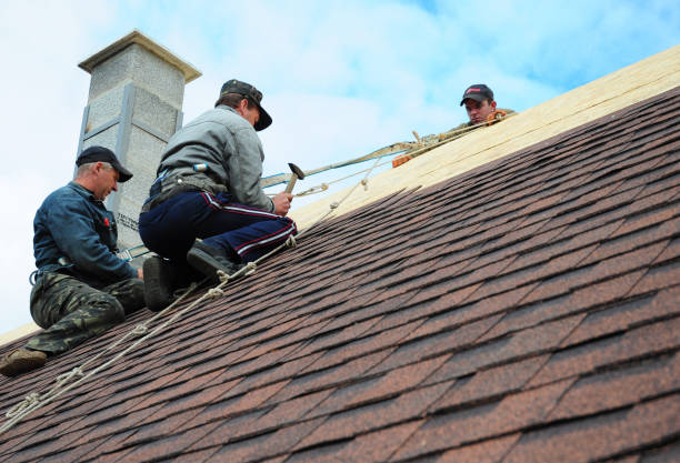 Best Storm Damage Roof Repair  in Wilder, ID